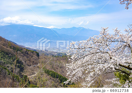 【山梨中央市】山の神千本桜と甲府盆地・南アルプス 【山梨中央市】山の神千本桜と甲府盆地・南アルプス 66912738