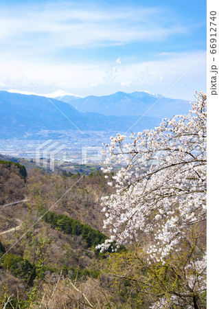 【山梨中央市】山の神千本桜と甲府盆地・南アルプス 【山梨中央市】山の神千本桜と甲府盆地・南アルプス 66912740