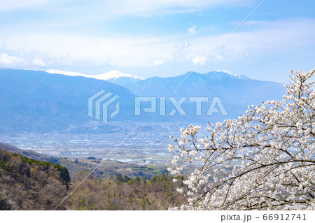【山梨中央市】山の神千本桜と甲府盆地・南アルプス 【山梨中央市】山の神千本桜と甲府盆地・南アルプス 66912741