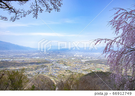 【山梨中央市】山の神千本桜と甲府盆地・八ヶ岳 【山梨中央市】山の神千本桜と甲府盆地・八ヶ岳 66912749