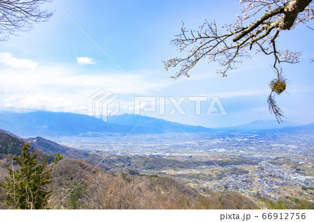 【山梨中央市】山の神千本桜と甲府盆地・八ヶ岳 【山梨中央市】山の神千本桜と甲府盆地・八ヶ岳 66912756