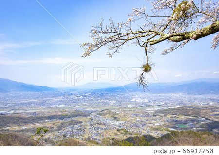 【山梨中央市】山の神千本桜と甲府盆地・八ヶ岳 【山梨中央市】山の神千本桜と甲府盆地・八ヶ岳 66912758