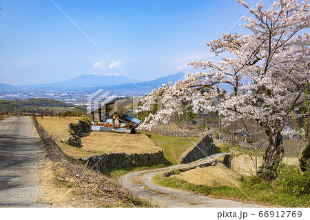 【山梨中央市】山の神千本桜 【山梨中央市】山の神千本桜 66912769