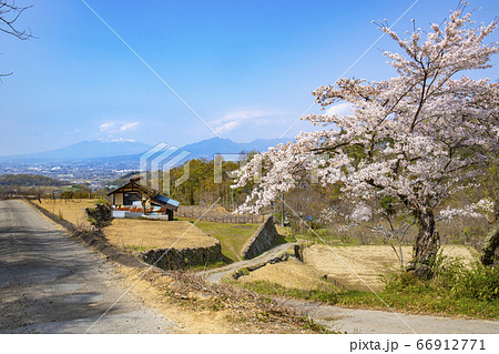 【山梨中央市】山の神千本桜 【山梨中央市】山の神千本桜 66912771