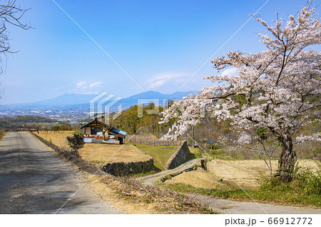 【山梨中央市】山の神千本桜 【山梨中央市】山の神千本桜 66912772