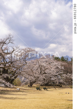 【山梨県北杜市】桜満開の清春芸術村と甲斐駒ケ岳 【山梨県北杜市】桜満開の清春芸術村と甲斐駒ケ岳 66912780