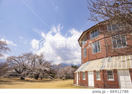 【山梨県北杜市】桜満開の清春芸術村 ラ・リューシュと甲斐駒ケ岳 【山梨県北杜市】桜満開の清春芸術村 ラ・リューシュと甲斐駒ケ岳 66912786