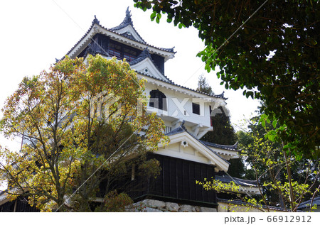 岩国城の天守と桜の景色 66912912