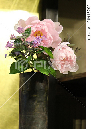 牡丹 66913206