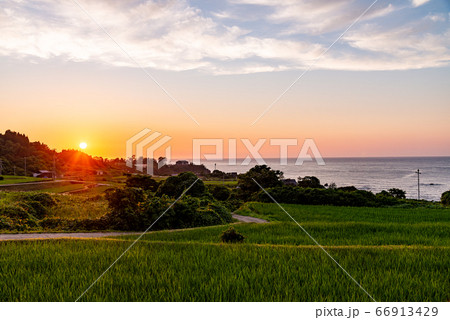 （京都府）袖志の棚田　夕景 66913429
