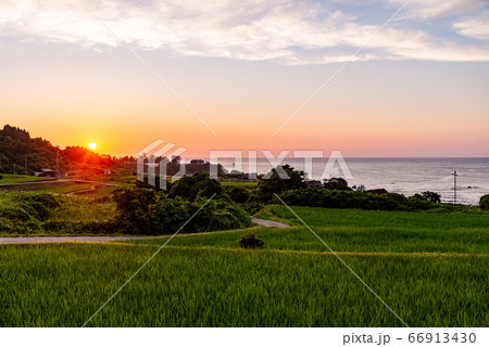 （京都府）袖志の棚田　夕景 66913430
