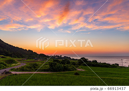 （京都府）袖志の棚田　夕景 66913437