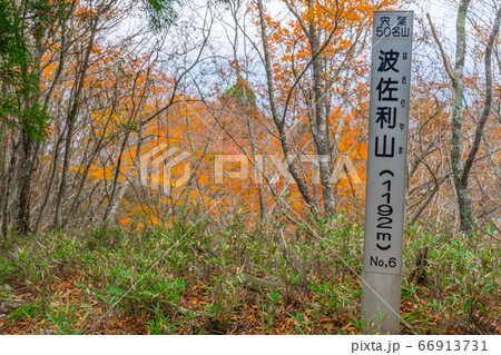 兵庫の秘境!赤西山・波佐利山、山頂!(兵庫県宍粟市波賀町音水)※作品コメント欄に撮影位置 兵庫の秘境!赤西山・波佐利山、山頂!(兵庫県宍粟市波賀町音水)※作品コメント欄に撮影位置 66913731