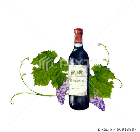 ワインとブドウの水彩画