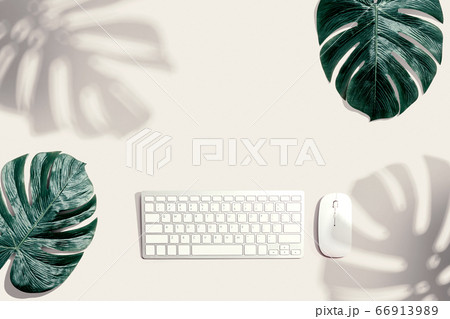 Computer keyboard with tropical leaves and shadow Computer keyboard with tropical leaves and shadow 66913989