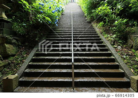 雨の太平山神社(6月) 雨の太平山神社(6月) 66914305