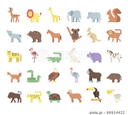 wild animals flat vector icons wild animals flat vector icons 66914422