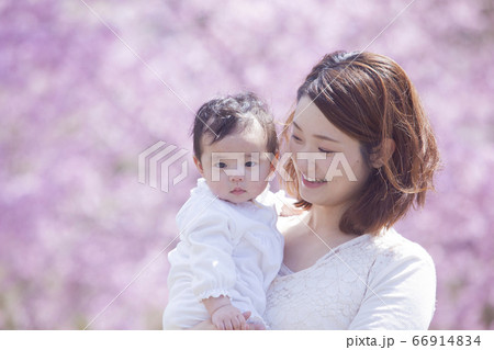 家族でお花見 家族でお花見 66914834