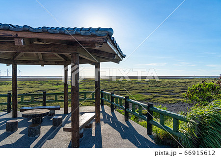 高美湿地の遊歩道　台中市　台湾 66915612