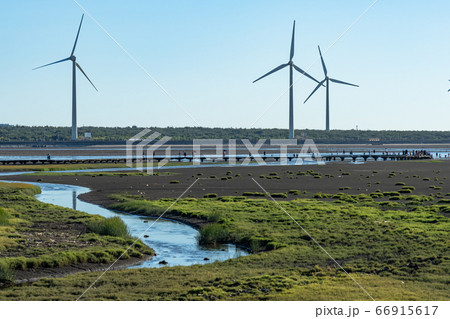 高美湿地の遊歩道　台中市　台湾 66915617