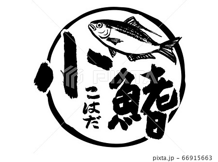 こはだ 小鰭 筆文字 こはだ 小鰭 筆文字 66915663