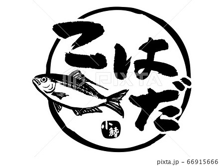 こはだ　小鰭　筆文字 66915666