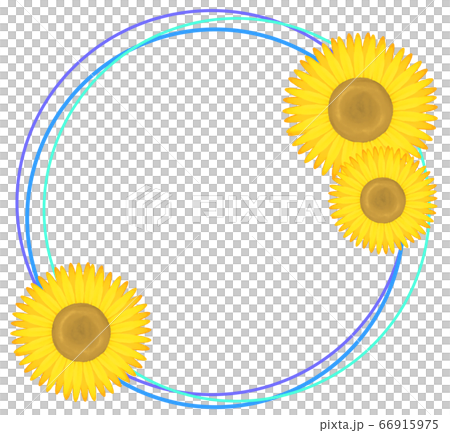 丸型向日葵フレーム（青色） 66915975