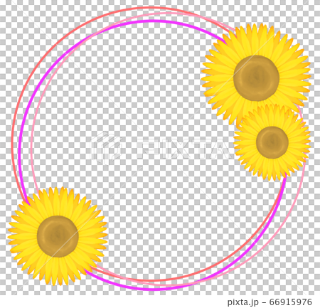 丸型向日葵フレーム（紫色） 66915976