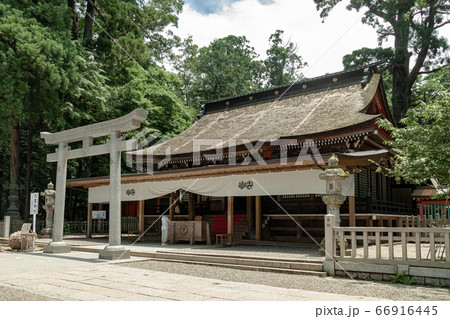鹿嶋市鹿島神宮の拝殿建屋【春】 鹿嶋市鹿島神宮の拝殿建屋【春】 66916445