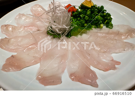 とらふぐ 刺身 薄造り 接写 横位置 66916510