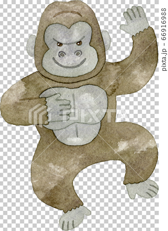 Gorilla Drumming Stock Illustration