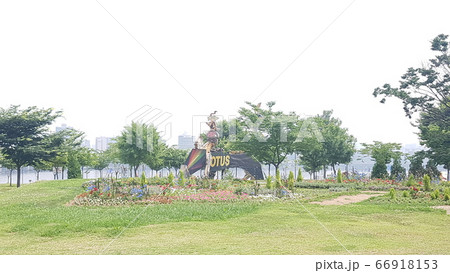 植物 自然 芝生 66918153