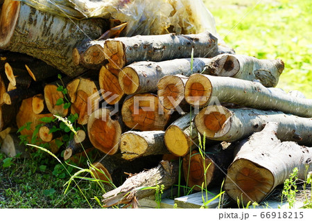 薪　まき　たきぎ 66918215