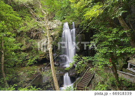 鮎屋の滝(兵庫県洲本市) 鮎屋の滝(兵庫県洲本市) 66918339