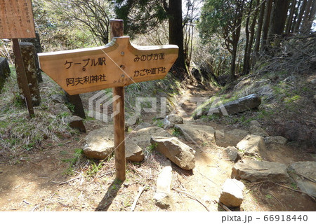 大山登山 66918440