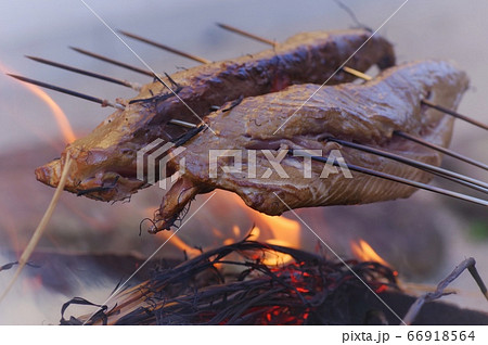 カツオのたたき 藁焼き 66918564