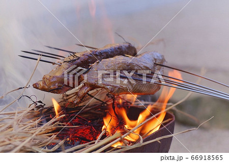 カツオのたたき 藁焼き 66918565