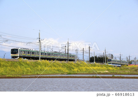 初夏の水田と東北本線205系 元京葉線 元埼京線車両 の写真素材 66918613 Pixta