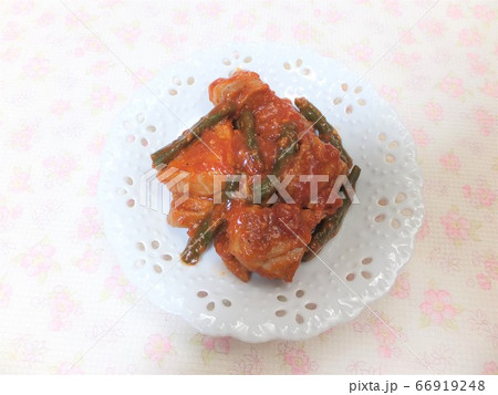 チキンのトマトソース炒め チキンのトマトソース炒め 66919248