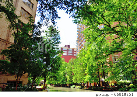 アメリカサンアントニオリバークルーズ 66919251