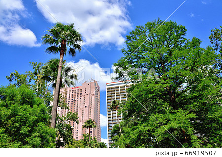 アメリカサンアントニオリバークルーズ アメリカサンアントニオリバークルーズ 66919507