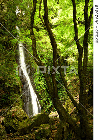 玉川峡　五光(御光)の滝 66920329