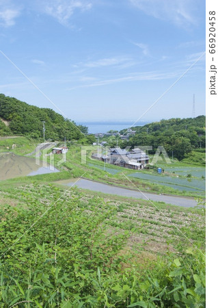 兵庫県淡路市の石田の棚田 66920458