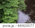 雨の風景 66920577