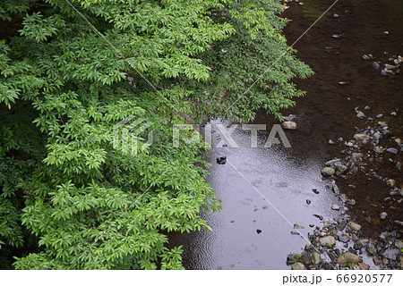 雨の風景 66920577