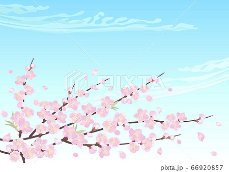 装飾背景-桃と青空 66920857
