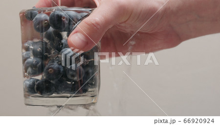 closeup man hands wash blueberries in glass 66920924
