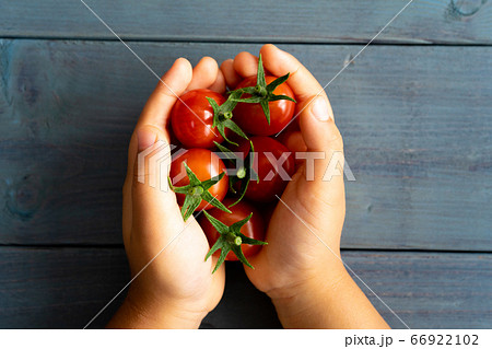 ミニトマトを持つ子供の手 66922102