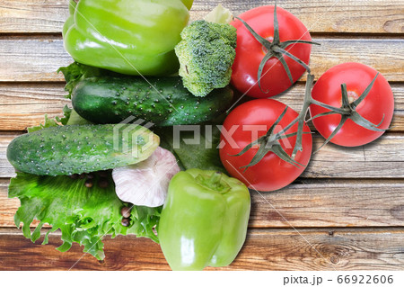 fresh eggplant squash zucchini garlic cucumber paprika izolated on white background fresh eggplant squash zucchini garlic cucumber paprika izolated on white background 66922606