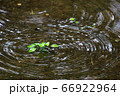 水面 66922964